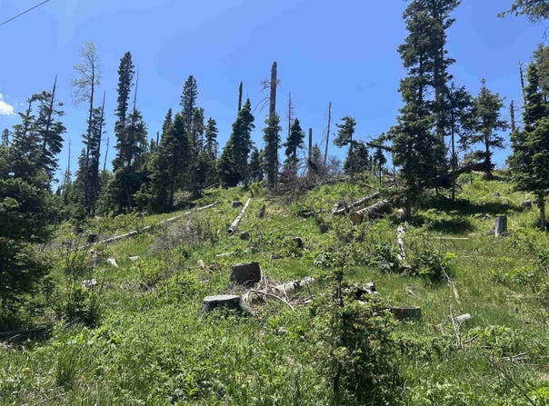 Hidden Valley Rd, Red River, NM 87558
