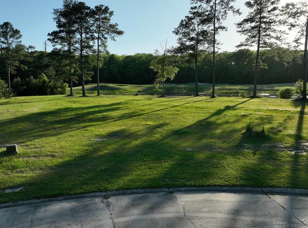 23282 Noble Oak Dr, Springfield, LA 70462