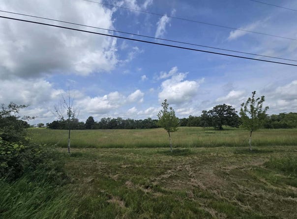 0 Walkowe Lane, Manchester, MI 48158
