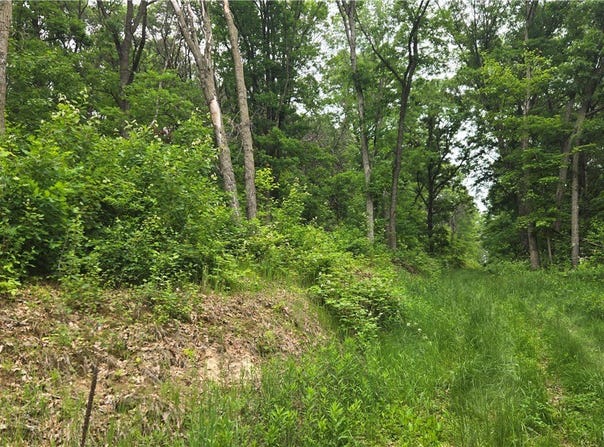 10559 20th Street, Colfax, WI 54703