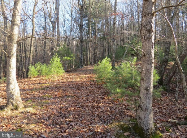 10 CEDARWOOD DRIVE ROAD, MATHIAS, WV 26812