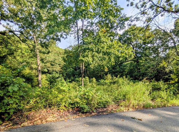 Lot 9 Azalea Lane, Branson West, MO 65737