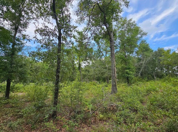 LOT13 119TH DR, OBrien, FL 32071