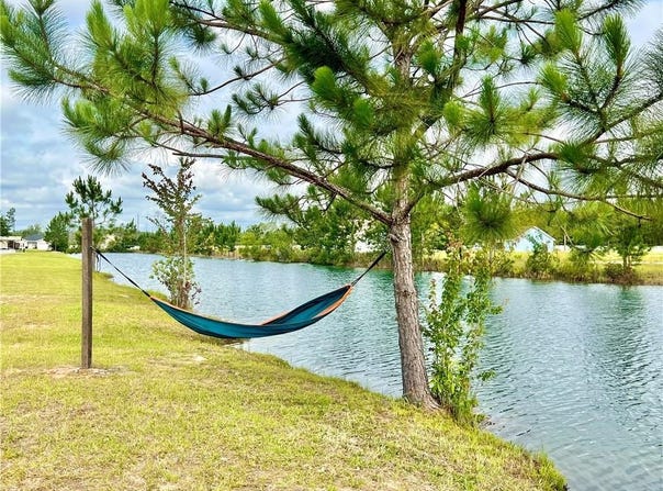 Lot 69 Twinn Lakes Drive, Baxley, GA 31513