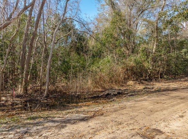 230 23rd Ave lot: L16&17/B233, Apalachicola, FL 32320