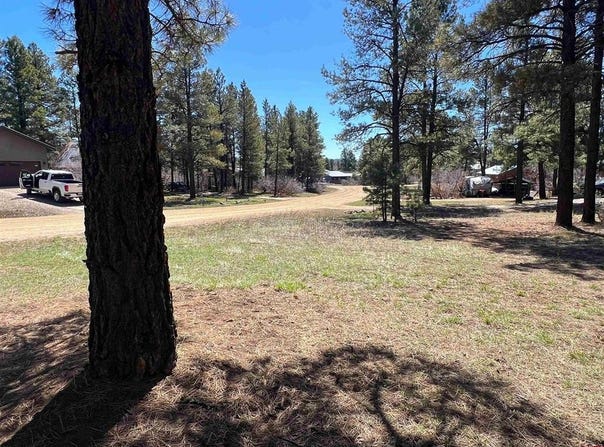 533 Dutton Drive, Pagosa Springs, CO 81147
