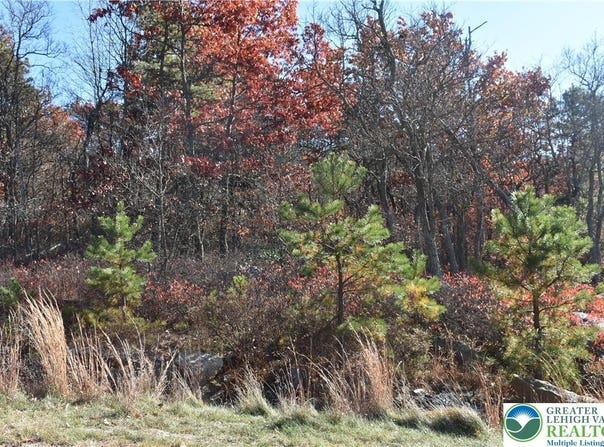 Buck Mountain Boulevard, Luzerne, PA 18202