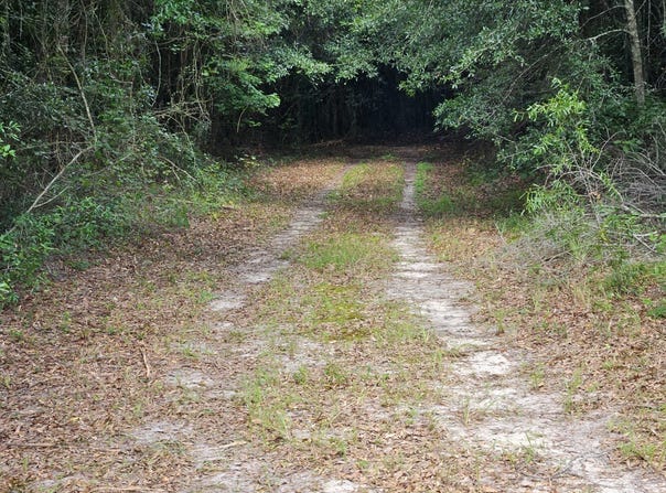 0 county road 173, Headland, AL 36345