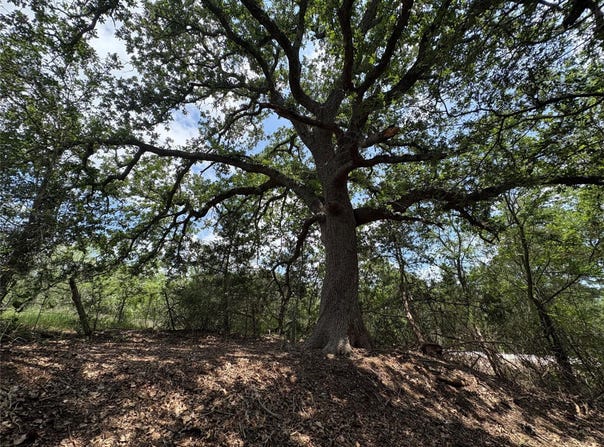 694 Brite RD, Lockhart, TX 78644