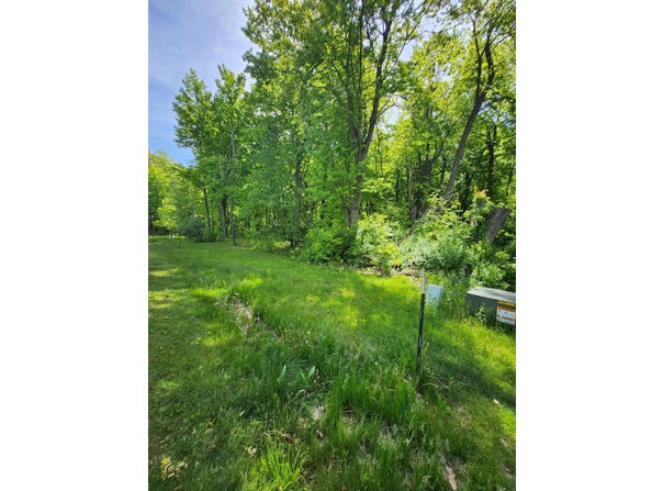 17647 Summerhill Lane, New Buffalo, MI 49117