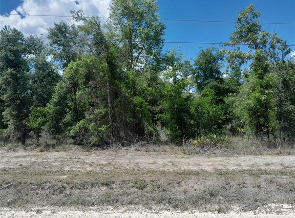 NE 63RD Place, WILLISTON, FL 32696