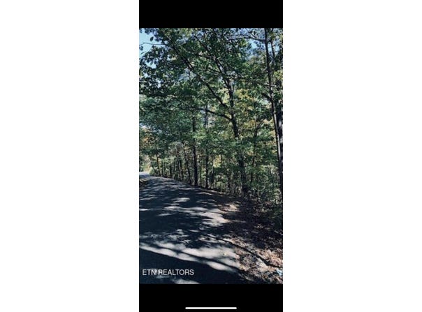 1301 E Brow Road, Signal Mountain, TN 37377