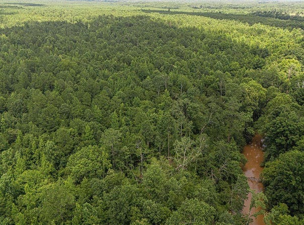 Tbd Burton Drive, Edgefield, SC 29824