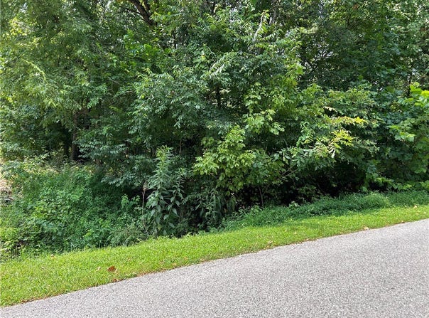 Elizabeth Drive lot: 4, Bella Vista, AR 72715