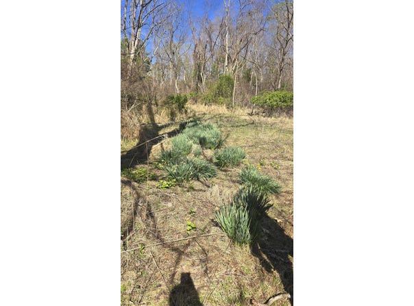 HUFFVILLE Road, Pilot, VA 24138