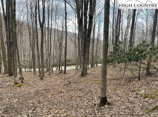 100 Fireweed Lane, Beech Mountain, NC 28604
