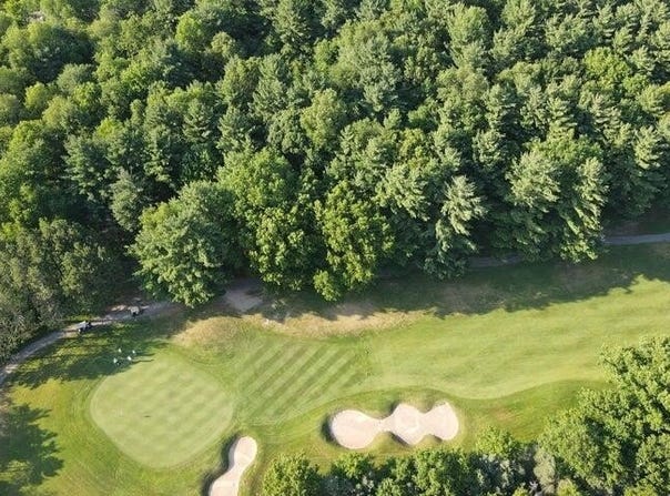 12905 Bowen Lake Drive, Gowen, MI 49326
