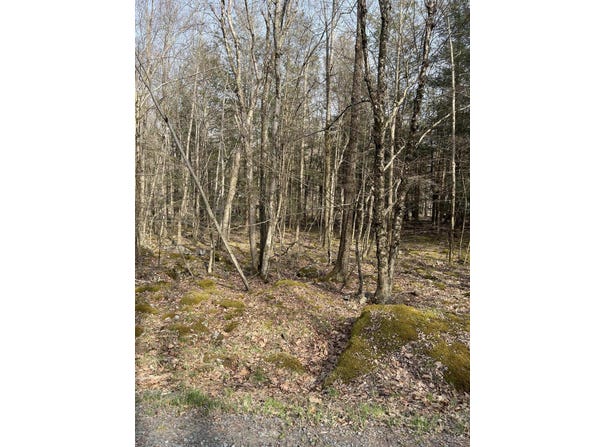 Lot 813 White Pine Drive, Pocono Lake, PA 18347