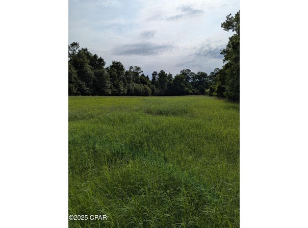 00 Poplar Springs Road, Marianna, FL 32446
