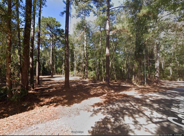 Golfview Circle, Johnsonville, SC 29555