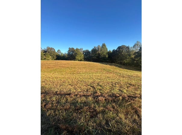 1450 Jones School Rd, Mount Sherman, KY 42764