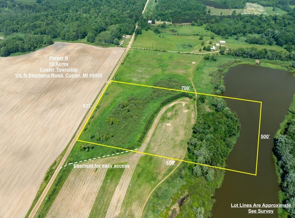 V/L N Stephens Road, Custer, MI 49405