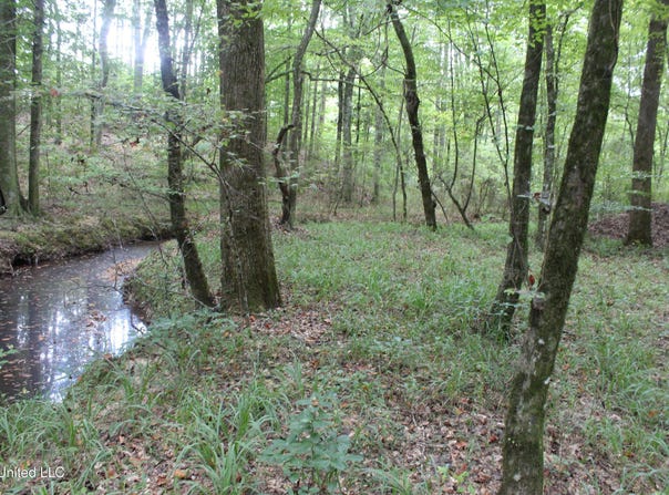 NE Hopewell Road, Brookhaven, MS 39601