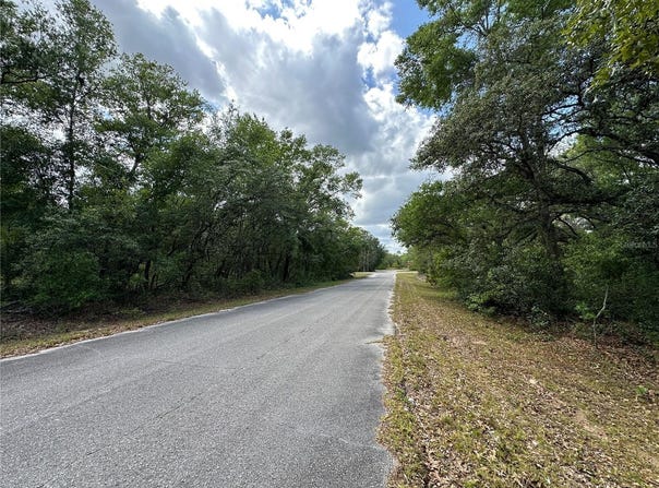 Tbd MALAUKA DRIVE, OCKLAWAHA, FL 32179