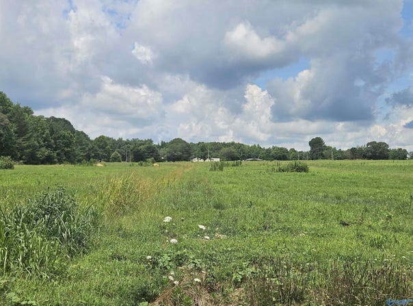 Lot 3 Scott Road, Hazel Green, AL 35750