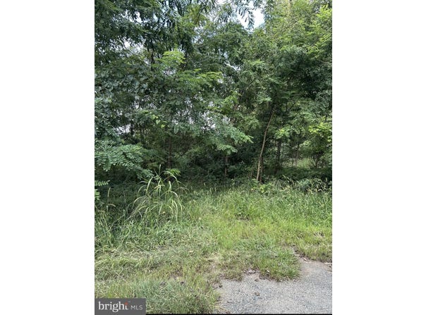 129 BOWLER Lane, ORANGE, VA 22960