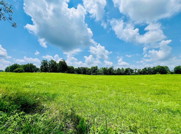 81 Shearer Cemetery Ln, Columbia, KY 42728