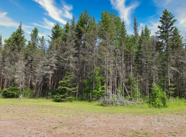 Lot D HOMERS RD, Mercer, WI 54547
