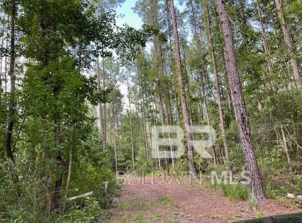 0 Highway 29, Andalusia, AL 36420