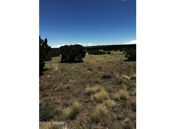 Tbd 212-12-014E, Concho, AZ 85924