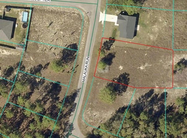 SE MALAUKA Run lot: 5, OCKLAWAHA, FL 32179