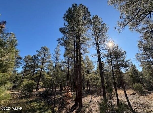 3270 W Black Oak Loop, Show Low, AZ 85901