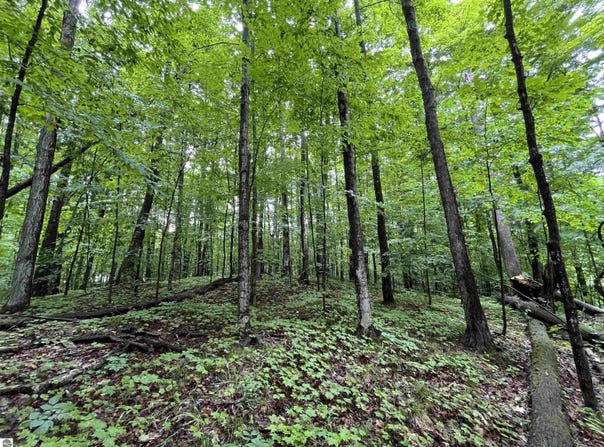 LOT 9 STACEYWOOD CIRCLE, BELLAIRE, MI 49615