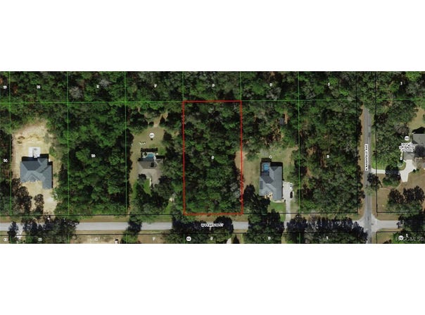 1565 W Pearson Street, Hernando, FL 34442