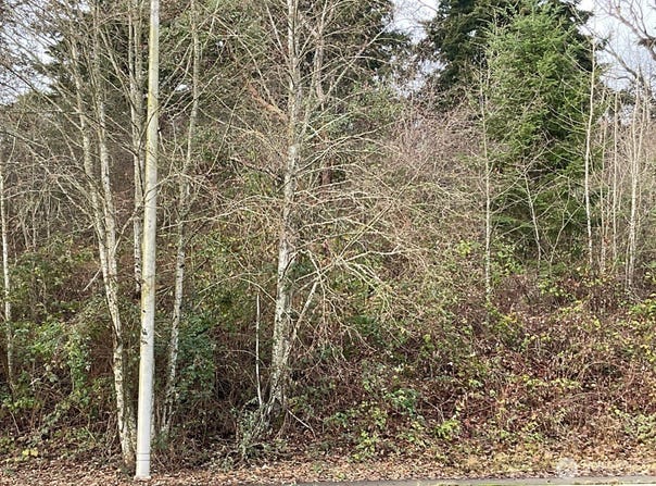 6016 S Tyler Street, Tacoma, WA 98409