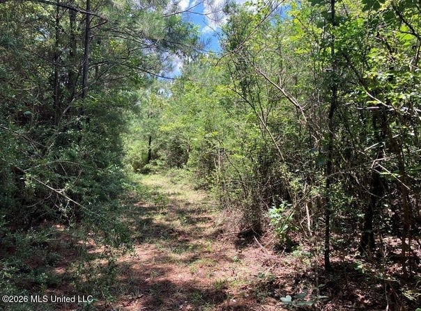 Ms-48 lot: 1, Sandy Hook, MS 39478