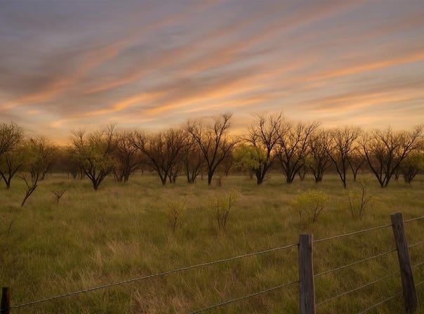 Tbd State Hwy 114, Seymour, TX 76380