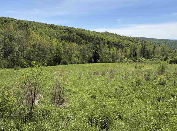 Bear Hill Road, Brookfield, VT 05036