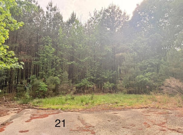Spruce Cove (Lot 21), Monticello, AR 71655