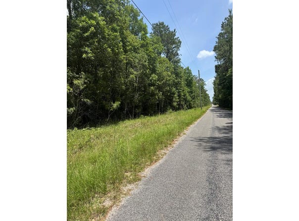 Shenandoah Rd, Poplarville, MS 39470