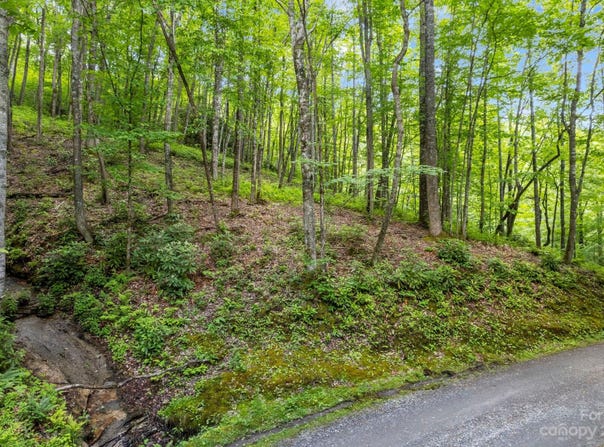 Lt 12C Von Trapp Lane unit: 12C, Tuckasegee, NC 28783