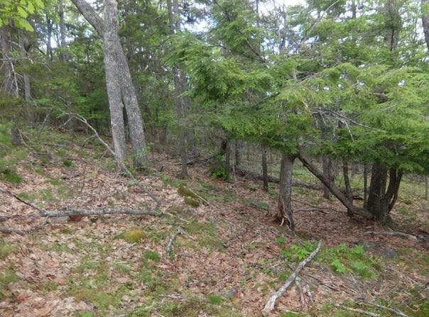 Hatchet Mountain Road, Hope, ME 04847