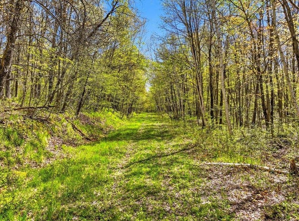 W6474 River Road, Trego, WI 54888