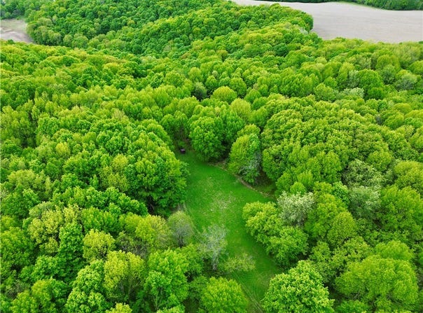 0 Jackson Road, Knapp, WI 54749