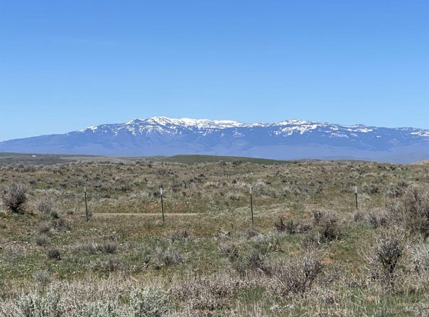 Tbd Indian Valley Rd Parcel 2, Indian Valley, ID 83632