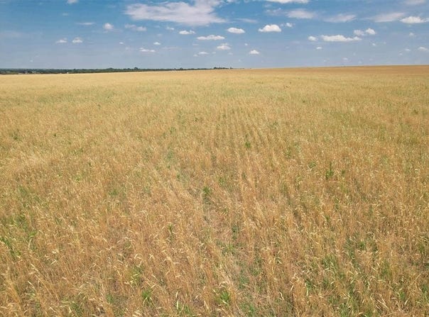 E 158 County Road, Altus, OK 73521